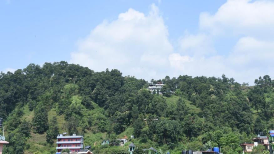 Hotel Green Hill View Pokhara Dış mekan fotoğraf